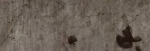 Graffiti associated with Horace Rice